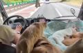 ����... � �� ������... �� ������