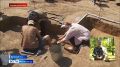 Раскопки звягинского могильника начались в Вачском округе