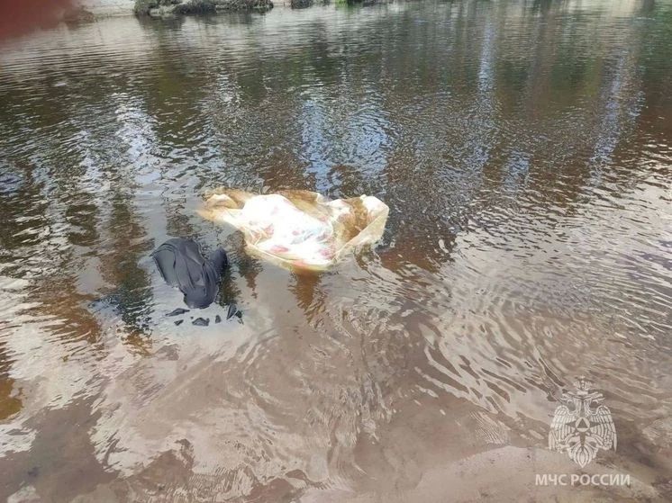 12-летний мальчик утонул, пытаясь спасти женщину в Нижегородской области