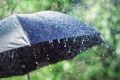 Мощные грозовые ливни, град и сильный ветер ожидаются сегодня в Нижнем Новгороде и области
