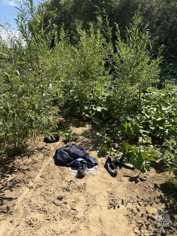 Происшествие на воде в Краснобаковском муниципальном округе Происшествие на воде в Краснобаковском муниципальном округе