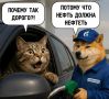 Нижегородские антимонопольщики выдали предупреждение предпринимателю, который продаёт топливо на АЗС ESCO и «Газпромнефть»