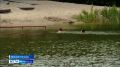 46 человек утонули в нижегородских водоемах с начала лета