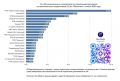ИА «Время Н» вошло в Топ-10 региональных каналов по вовлеченности во «ВК»