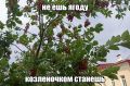 ����� � ������ � �������� ����� ���� ������ ��� ��������, ������������ ����-�������� ����� ����������