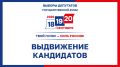 О представлении документов кандидатом в депутаты Государственной Думы Федерального Собрания Российской Федерации девятого созыва по одномандатному избирательному округу
