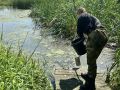 Минэкологии региона начало проверку после гибели рыбы в озере Ягодное
