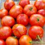 Томат гном гандольф: компактный сорт с волшебным вкусом и яркими плодами