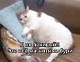 Метеозависимые, держитесь: в ближайшие дни Землю накроет мощная магнитная буря