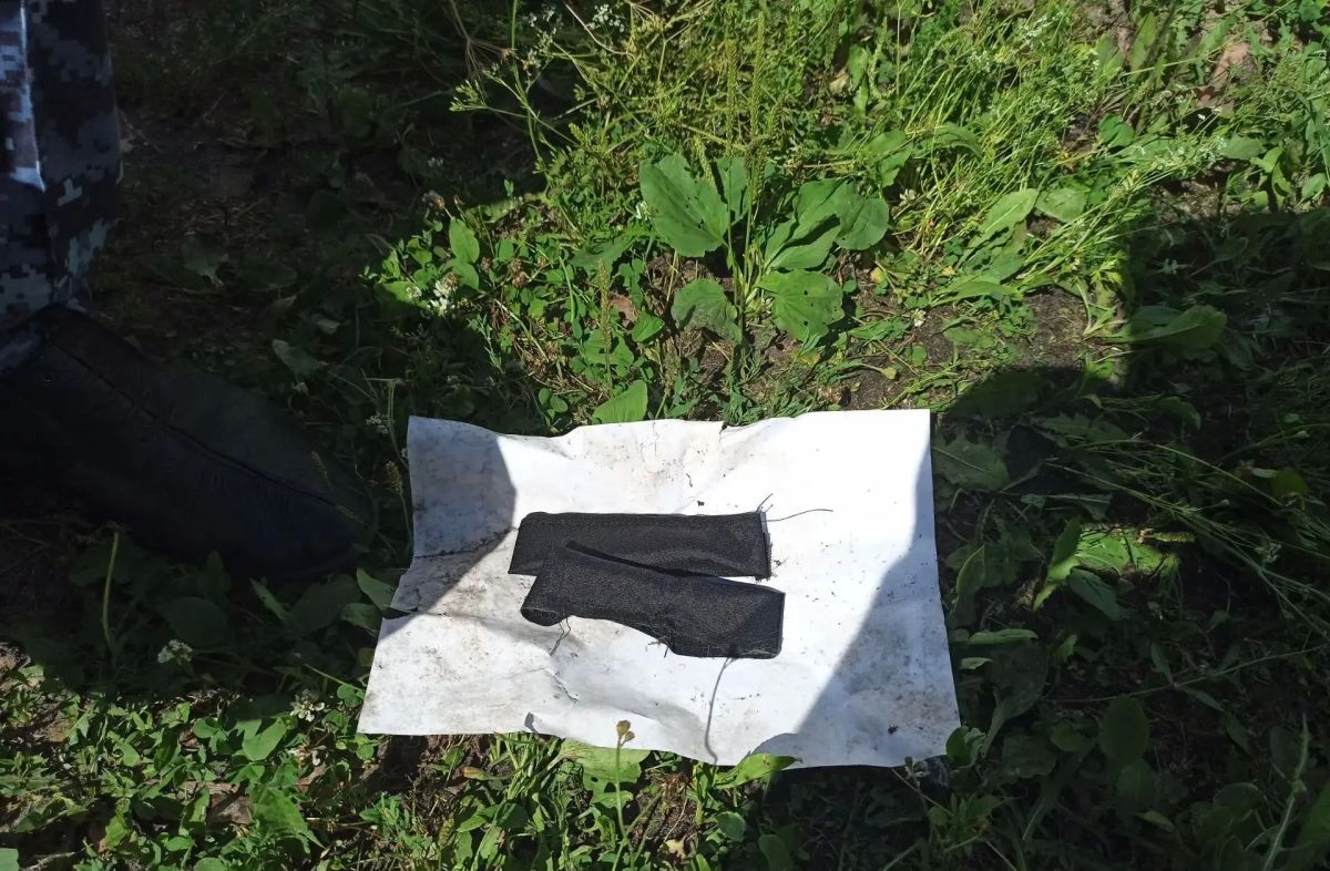В Нижегородкой области задержали пушистого наркокурьера В Нижегородкой области задержали пушистого наркокурьера
