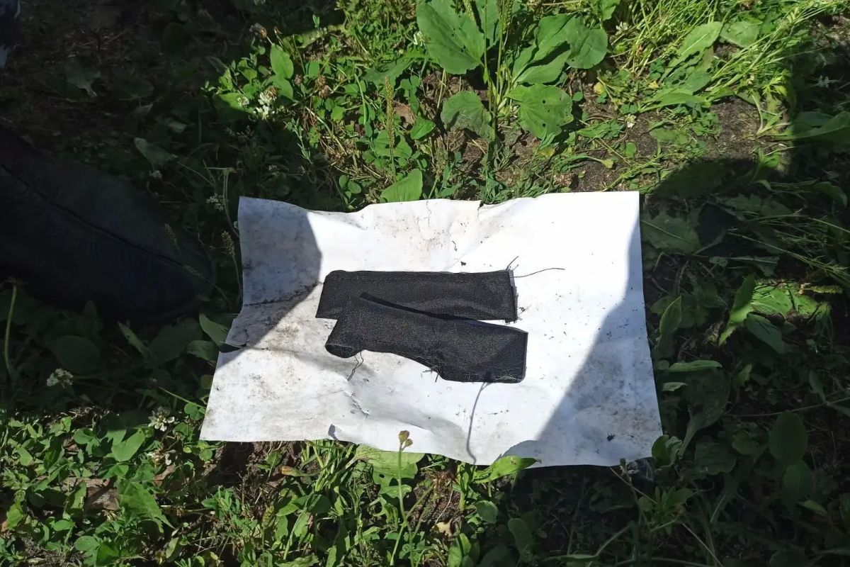 Кота-наркокурьера задержали в Нижегородской области Кота-наркокурьера задержали в Нижегородской области