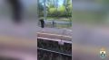 В Нижнем Новгороде сотрудники транспортной полиции выявили несовершеннолетних зацеперов