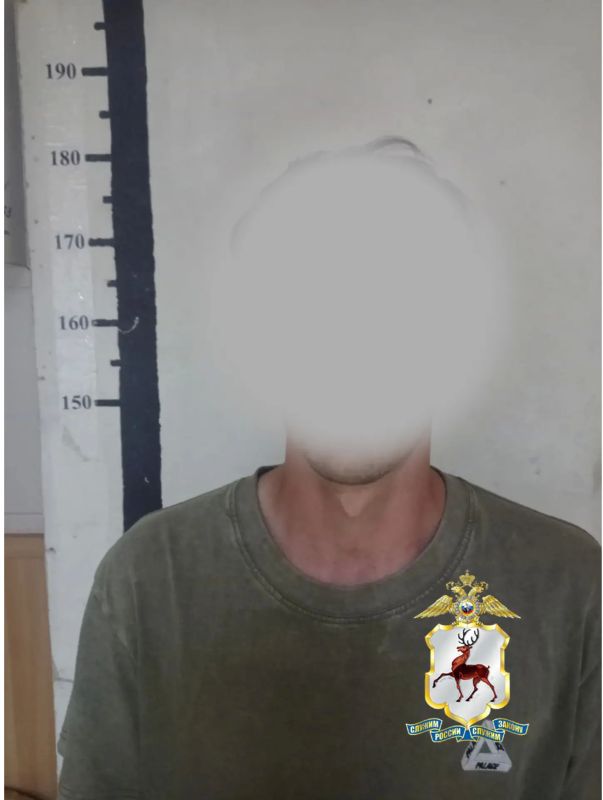 В Заволжье полицейские изъяли наркотическое растение у местного жителя В Заволжье полицейские изъяли наркотическое растение у местного жителя