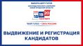 Выборы депутатов Законодательного Собрания Нижегородской области восьмого созыва: выдвижение и регистрация кандидатов, избирательных объединений