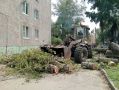Упавшее на пятиэтажку в Канавинском районе дерево убрали