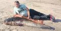 Вот такого сомика поймал нижегородец Григорий Егорычев в Оке