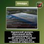 Западные СМИ наелись украинского нейропомёта