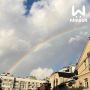 Единорог спрятался во дворах Нижнего