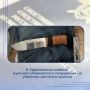 Следователем следственного отдела по г. Арзамас следственного управления СК России по Нижегородской области возбуждено уголовное дело в отношении мужчины, обвиняемого в совершении преступления, предусмотренного ч. 3 ст. 30...