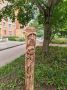 В Нижнем Новгороде сломанное дерево обрело лицо