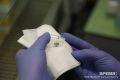 64 НИЖЕГОРОДЦА ЗАБОЛЕЛИ ИКСОДОВЫМ КЛЕЩЕВЫМ БОРРЕЛИОЗОМ
