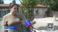 В нижегородском зоопарке выбрали имя для новорожденной зебры