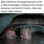 �������, ��������, �������������� �����: ��� ���������� � ������������� ������� � ����?
