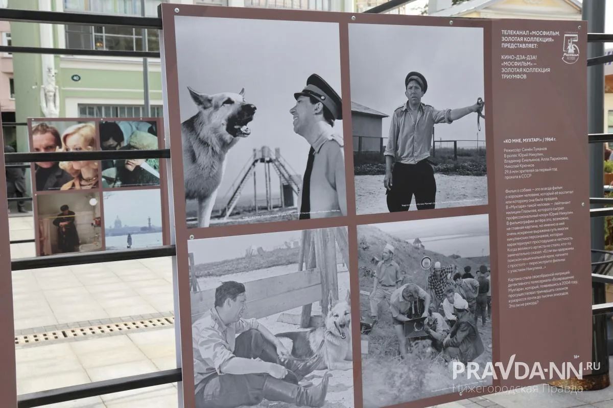 Фотовыставка «Кино-Дза-Дза» открылась в Нижнем Новгороде Фотовыставка «Кино-Дза-Дза» открылась в Нижнем Новгороде