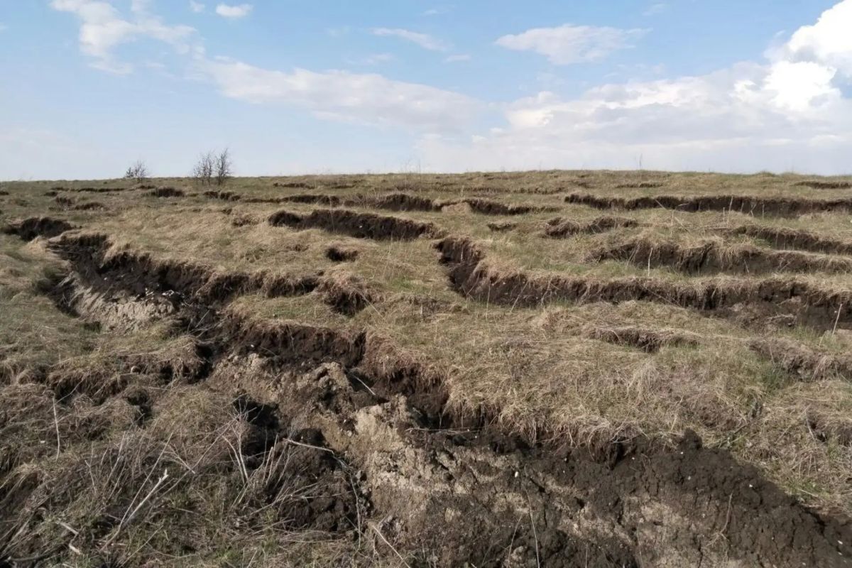 Представьте себе: на территории современной Нижегородской области примерно в I веке нашей эры приносили в жертву людей Представьте себе: на территории современной Нижегородской области примерно в I веке нашей эры приносили в жертву людей