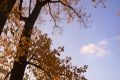������ ����, ������!. ����� +16�, ��������, ���� + 18�C, �������, ��������� �����
