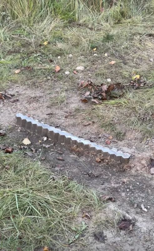 В Выксе украли арт-объект нижегородского художника В Выксе украли арт-объект нижегородского художника