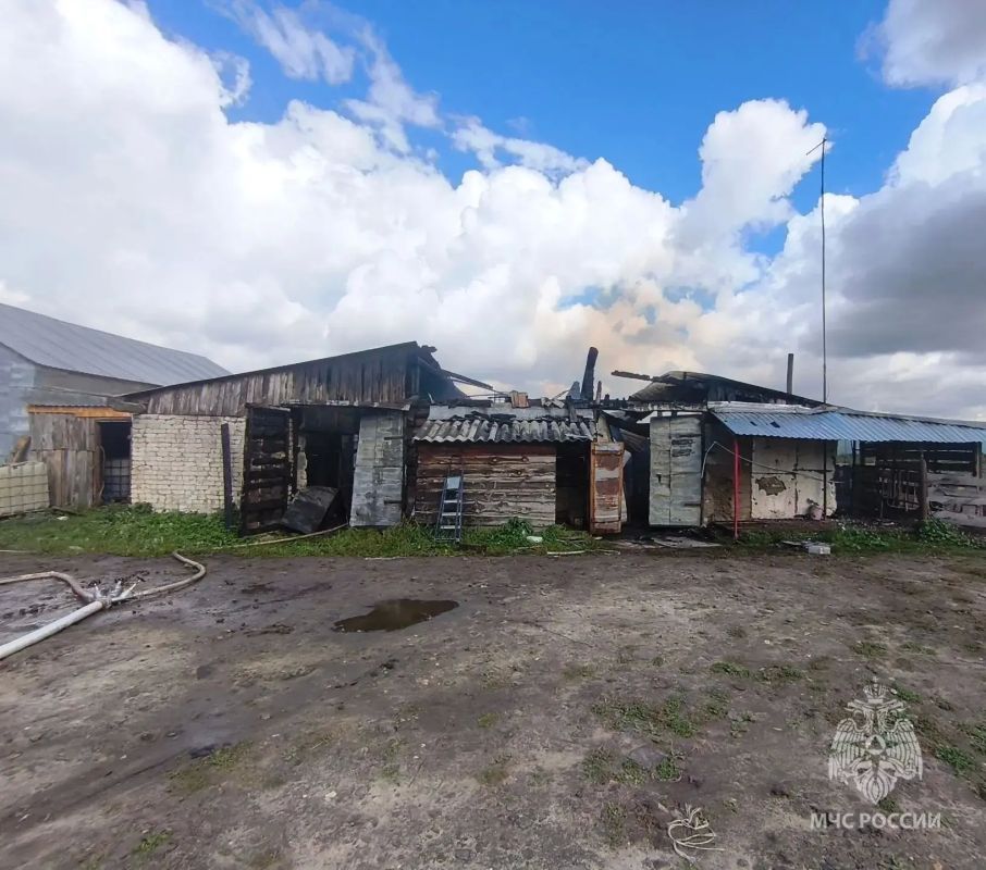 В Большеболдинском муниципальном округе огнеборцы ликвидировали пожар на ферме В Большеболдинском муниципальном округе огнеборцы ликвидировали пожар на ферме