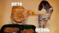 Оставьте что-нибудь летнее из одежды — на этой неделе в Нижегородскую область придёт потепление!