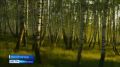 В Нижнем Новгороде прошел премьерный показ сказочного приключения "Как Иван в сказку попал"