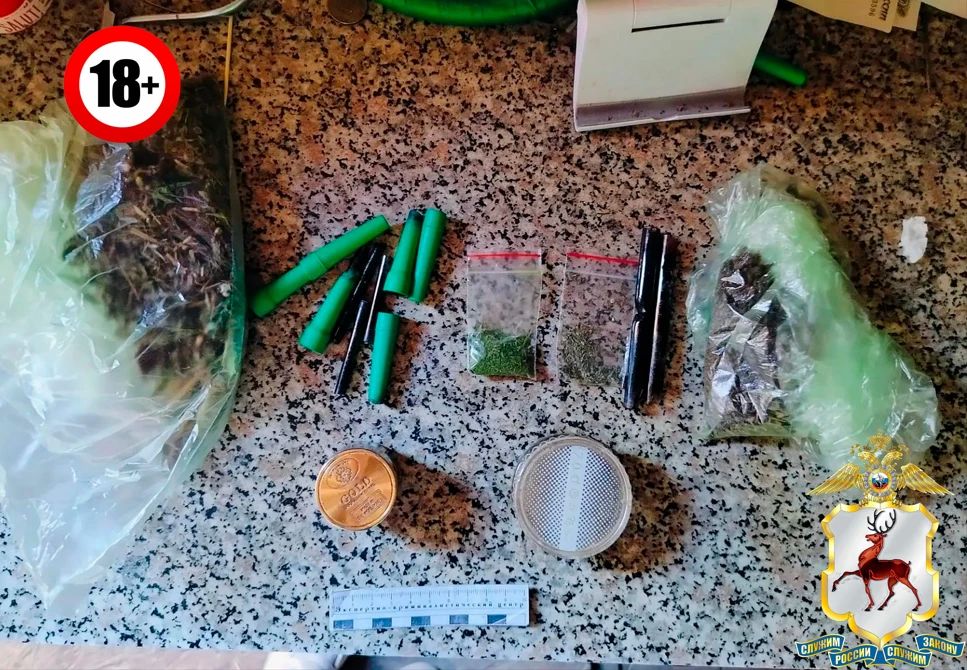 В Семёнове полицейские изъяли крупную партию каннабиса у местного жителя В Семёнове полицейские изъяли крупную партию каннабиса у местного жителя