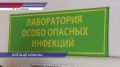 В 1,5 раза участились случаи обращения нижегородцев по поводу присасывания клещей в последние две недели