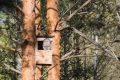 Жилье для сов строят в Нижегородской области