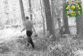 Фотоловушки начали следить за грибниками в нижегородских лесах