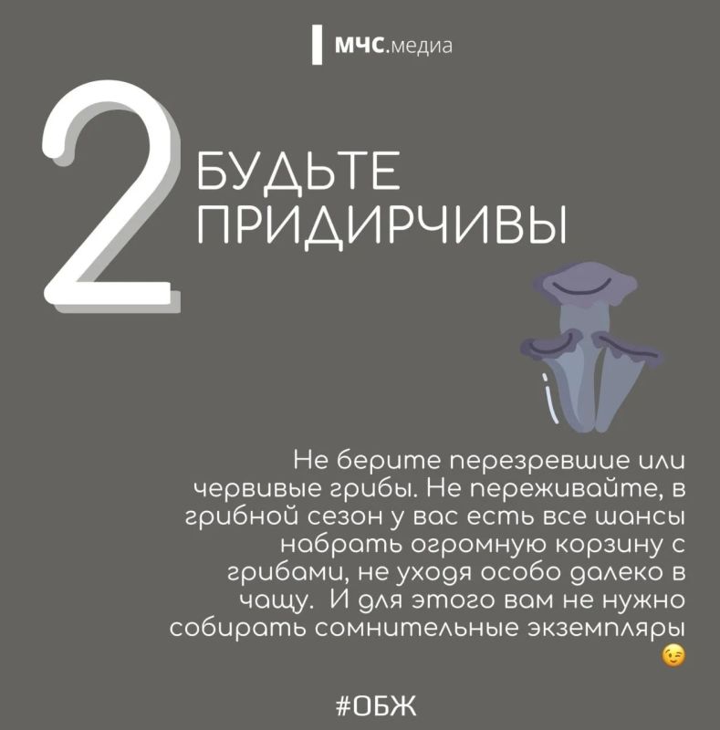 Миссия набрать грибов и не потерять себя! Миссия набрать грибов и не потерять себя!