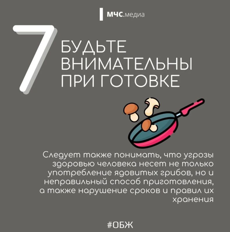 Миссия набрать грибов и не потерять себя! Миссия набрать грибов и не потерять себя!