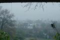 Доброе утро, Нижний!. Утром +11°, облачно, днем + 15°C, пасмурно, дождь