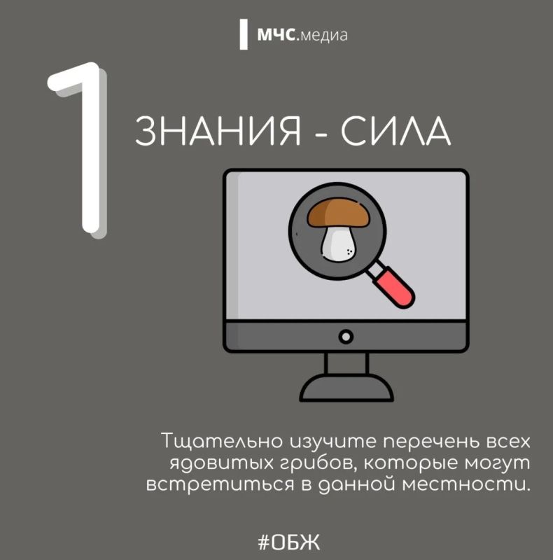 Миссия набрать грибов и не потерять себя! Миссия набрать грибов и не потерять себя!