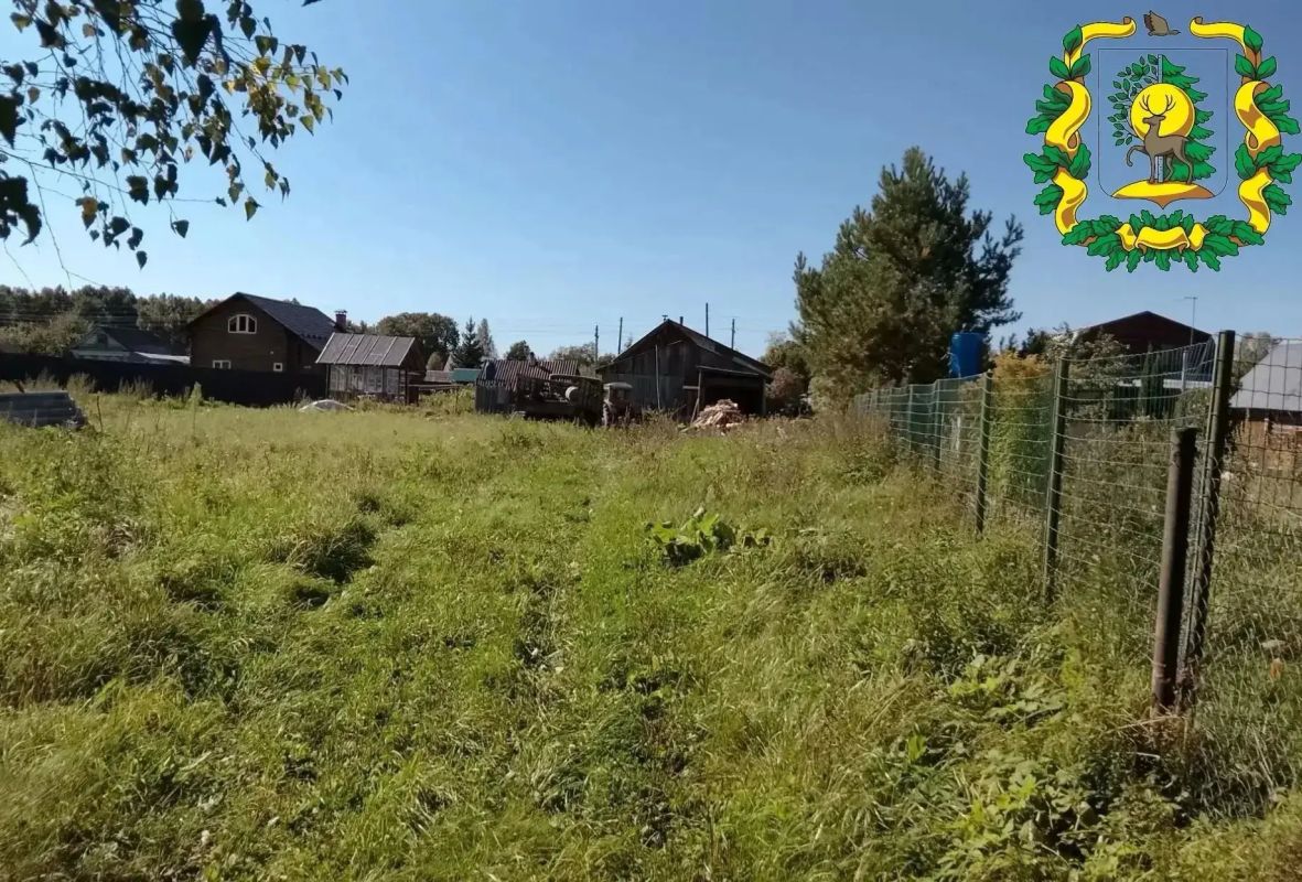 В Арзамасском округе фотоловушка помогла найти воришек деревьев В Арзамасском округе фотоловушка помогла найти воришек деревьев