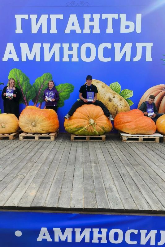 Нижегородский школьник Артем Ефремычев прославился овощами-гигантами, которых выращивает в своем огороде Нижегородский школьник Артем Ефремычев прославился овощами-гигантами, которых выращивает в своем огороде