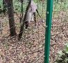 �������� ����� ������ ����� � ����� �� ������� � ������� ����� � ���������� �����������
