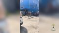 ����������� ������ ������� ���� ������ ����������� ����� � ������� � ����������
