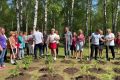 15 сентября в России отмечают Российский день леса