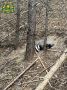 ������ ���������� �� ����� �������� � � ����������� ������ ������ ����� ����� � ������