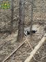 ������ ���������� �� ����� �������� � � ����������� ������ ������ ����� ����� � ������