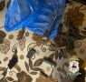 До 6 лет лишения свободы может быть назначено кстовчанину за переделку оружия